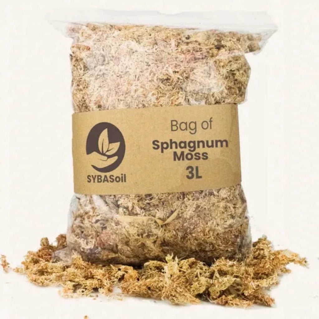 Sphagnum Terrarium Moss 3L - McKays Flooring