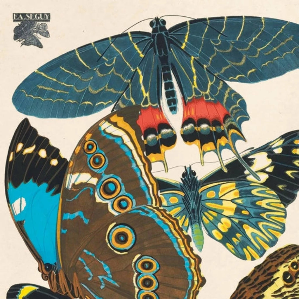 Vintage Seguy Butterfly 2 Print w/ optional frame - McKays Flooring