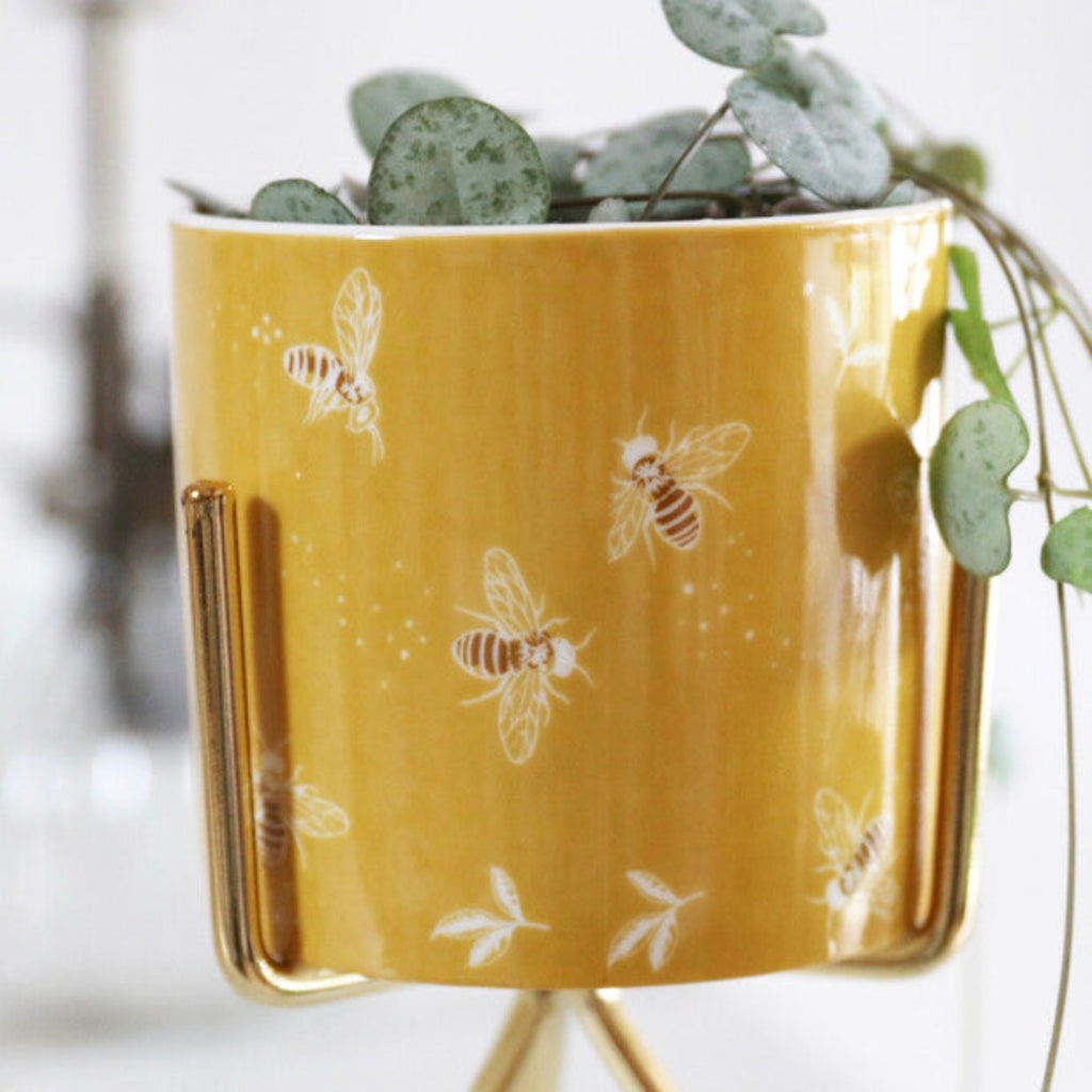 BEE Planter Pot with Gold Stand - McKays Flooring